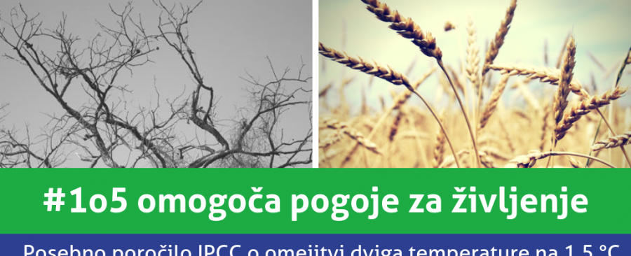 Factual infographic (6)
