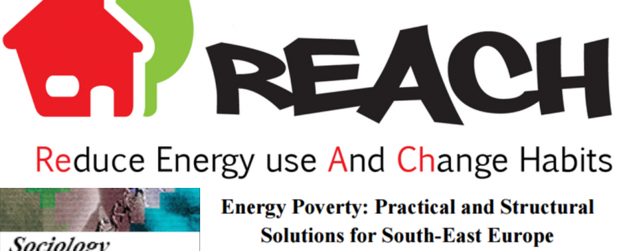 REACH research article