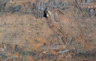 Deforestacija v Boliviji, foto: Matjaž Krivic