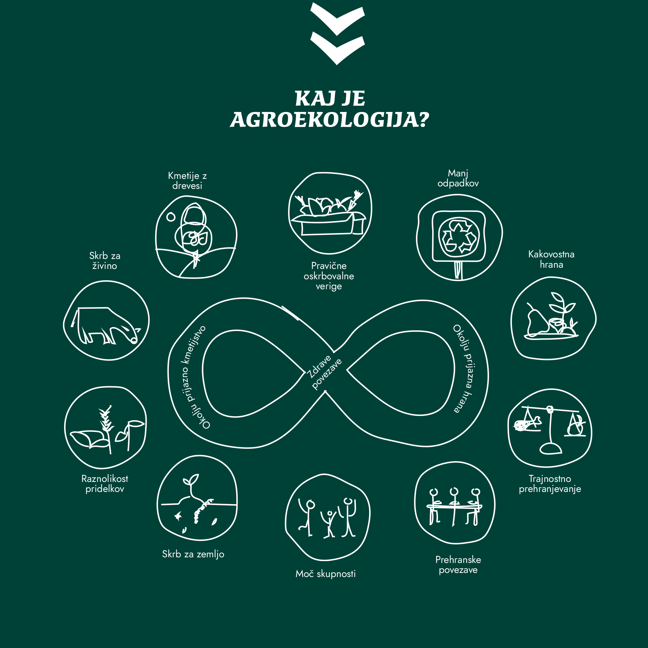 agroekologija-square(1)