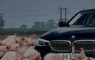 Foto: Transport and Environment