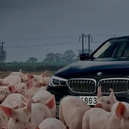 Foto: Transport and Environment