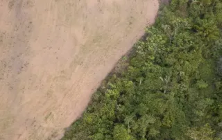 Foto: Transport and Environment