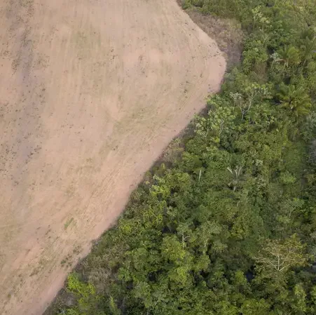 Foto: Transport and Environment