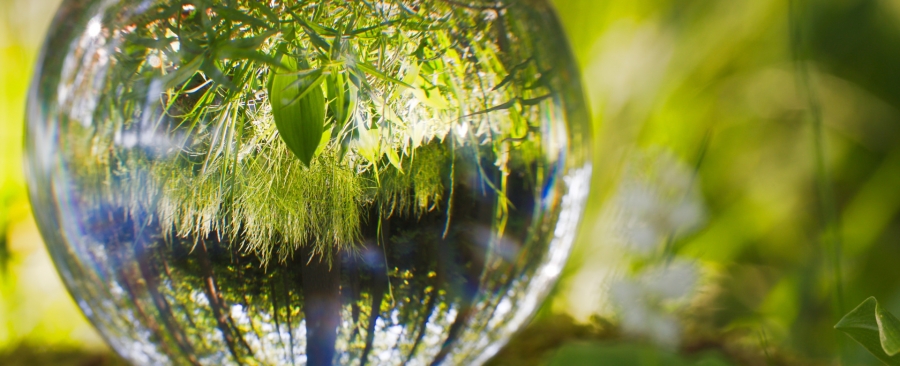 Canva - Glass Ball in Nature