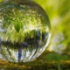 Canva - Glass Ball in Nature